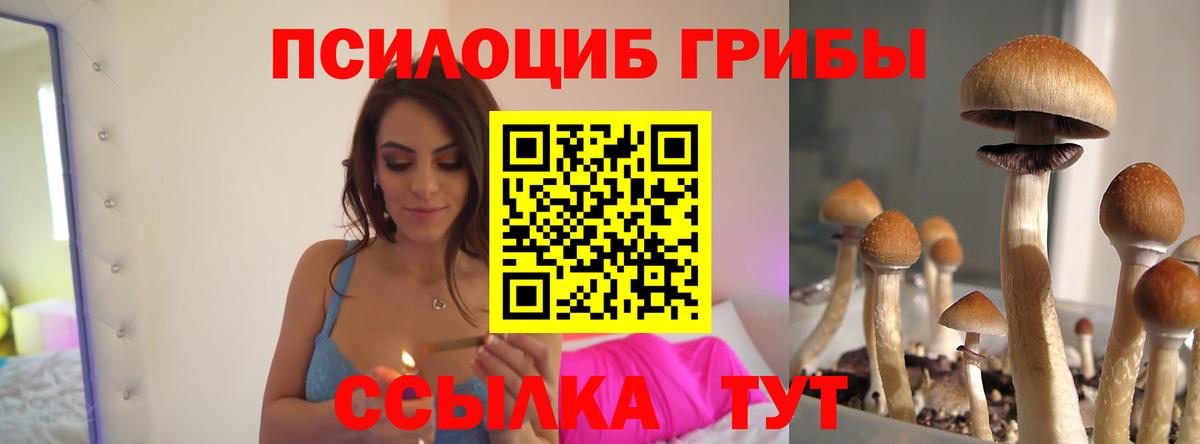Озёрск  Галлюциногенные грибы прущие грибы  Вход с VPN 